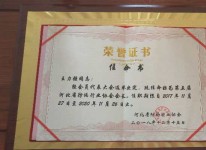 榮譽資質 